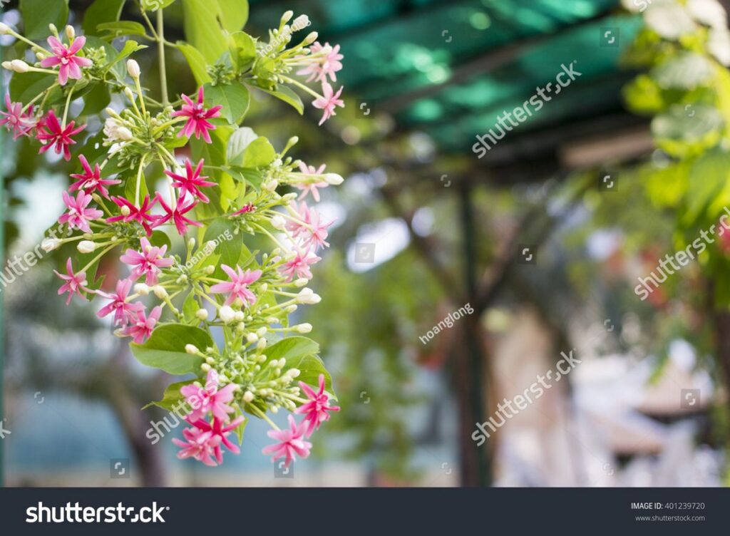 Các trang bán ảnh bạn nên biết!